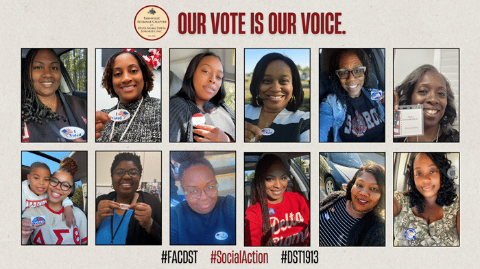 members of the chapter who voted in the recent election